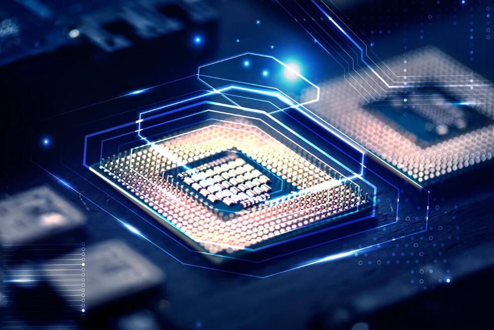 上海各大学那些有专升本 上海政法学院专升本